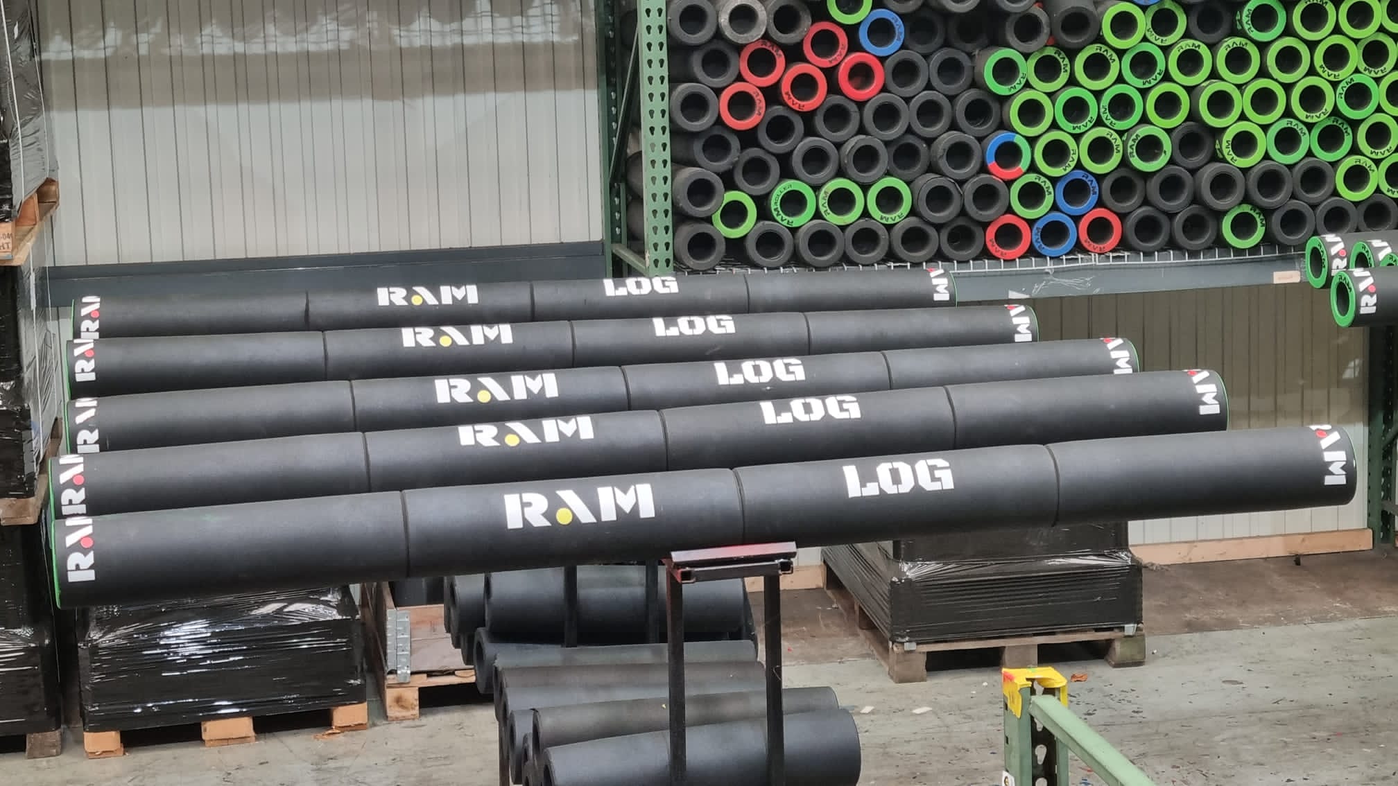 RAM Log